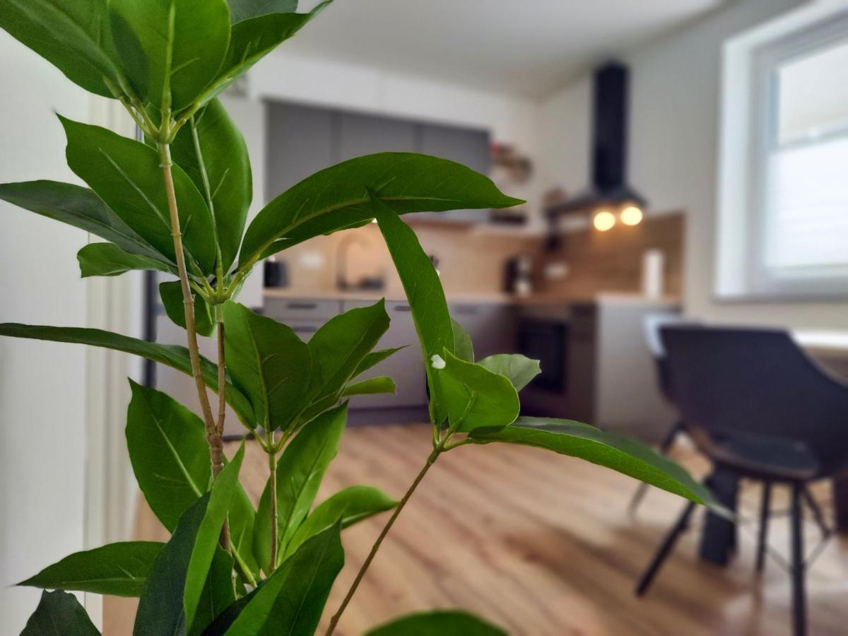 Hygge Home - Mit Garten Und Stellplatz Fuer Feriengaeste-, Monteure / Netflix / 10 Min. Zur Sinsheim Therme Und Zur Autobahn Extérieur photo